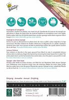 Xotica Palmboom sla Aspergesla zaden Buzzy - Buzzy - thumbnail