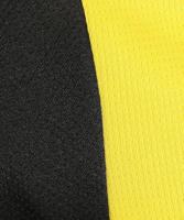Borussia Dortmund Thuis Shirt Senior 2024/2025 - Maat M - Kleur: ZwartGeel | Soccerfanshop - thumbnail