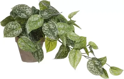 Mica Decorations kunst hangplant scindapsus 44cm groen