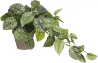 Mica Decorations kunst hangplant scindapsus 44cm groen - thumbnail