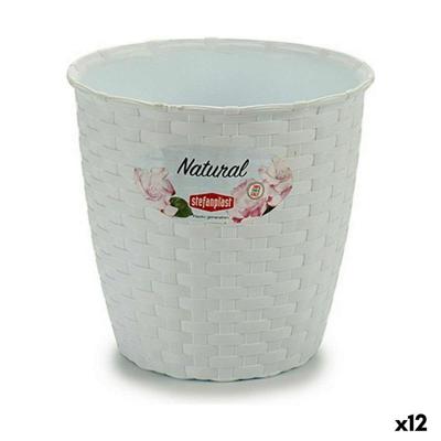 Grondlegger Stefanplast Wit Plastic 14 x 13 x 14 cm (12 Stuks)