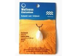 Edelsteen Hanger Sterrenbeeld Waterman - Chalcedoon