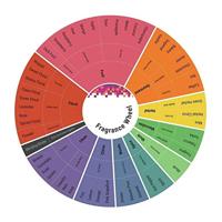 L.T. Piver pompeia parfum lotion 100ml - thumbnail