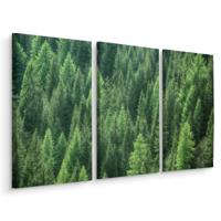 Prachtig Dennenbos, groene wanddecoratie, 3 luik, premium print - thumbnail