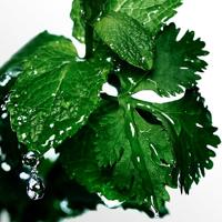 Davidoff Cool Water Man After Shave Balm 100ml Heren - thumbnail