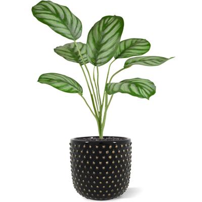 Calathea Maranta kunstplant 30cm Calathea Maranta kunstplant 30cm