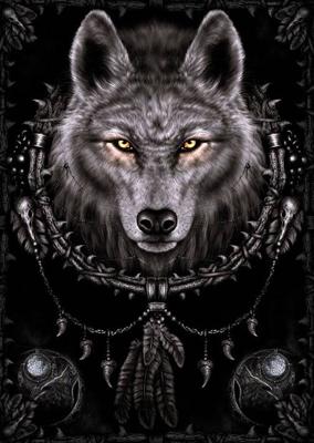 Poster Spiral Wolf Dreams 61x91,5cm