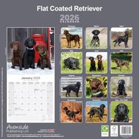 Flatcoated Retriever Kalender 2026 - thumbnail