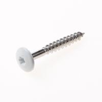 Kleurkopschroef rvs wit ral9010 4.8x70 t20 - thumbnail
