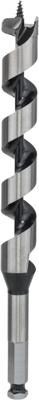 Bosch Accessoires Houtslangenboor, zeskant 22 x 160 x 235 mm, d 11,1 mm 1st - 2608597633 Bosch Accessoires Houtslangenboor, zeskant 22 x 160 x 235 mm, d 11,1 mm 1st - 2608597633