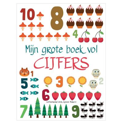 Rebo Publishers Mijn grote boek vol cijfers