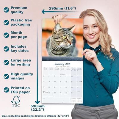 Katten Kalender 2026
