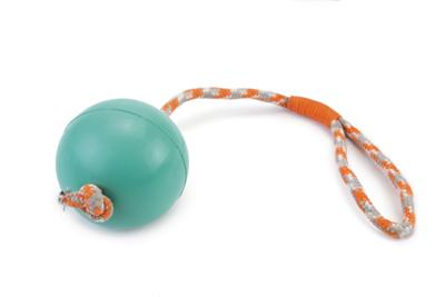 Rubberen bal aan koord hondenspeeltje mint 30 cm