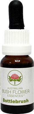 Australian Bush Bottlebrush 15 Milliliter Australian Bush Bottlebrush 15 Milliliter