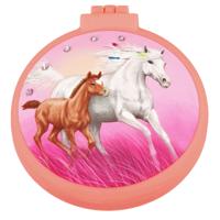 Miss Melody Borstel en Spiegel II - thumbnail