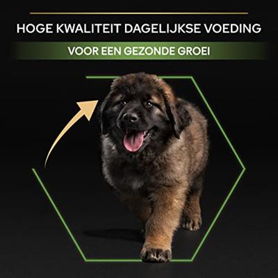 Pro Plan plan puppy large breed robuust kip / rijst - thumbnail
