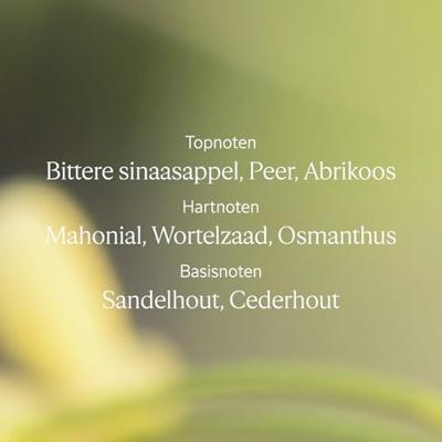 L&apos;Occitane Osmanthus Body Lotion 250 ml Bodylotion