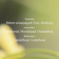 L&apos;Occitane Osmanthus Body Lotion 250 ml Bodylotion - thumbnail