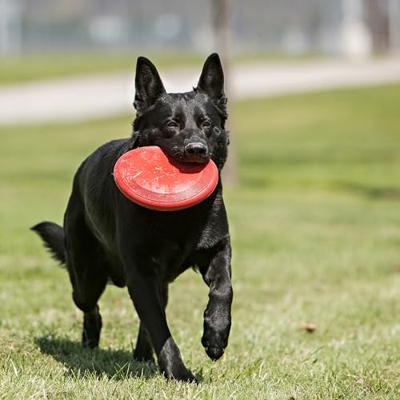 KONG FLYER FRISBEE ROOD 23X23X3 CM - thumbnail