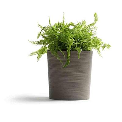 Siena Garden LOCON GROOVE 843_27 Plantcontainer Polypropyleen Grijs