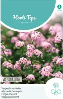 Zaden Myosotis Vergeet-me-nietje Victoria Rose Hortitops - Hortitops - thumbnail