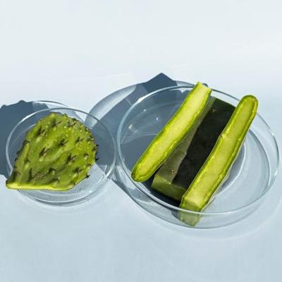 Weleda Vijgencactus gezichtsspray 100 Milliliter