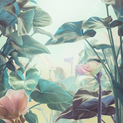 Schilderij - Magische tuin, print op canvas, groen , 3 maten ,Wanddecoratie