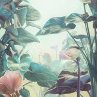 Schilderij - Magische tuin, print op canvas, groen , 3 maten ,Wanddecoratie - thumbnail