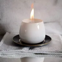 Crocus Glass - wit - thumbnail