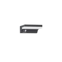 Lyora Solar wandlampDyn met sensor - 9190101 - thumbnail
