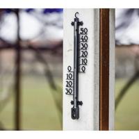 Hama Binnen-/buitenthermometer Boomstructuur 26 Cm Analoog - thumbnail