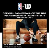WILSON NBA TEAM MINI HOOP WIZARDS - thumbnail