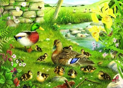 Ducks To Water Puzzel 500 Stukjes XL Ducks To Water Puzzel 500 Stukjes XL