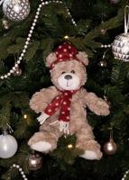 CUPID & COMET BRIE BEER MET MUTS EN SJAAL ROOD - thumbnail