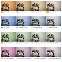 Godox SA-11T Kleurfilter 1 stuk(s) - thumbnail