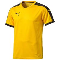 Puma Pitch Shortsleeved Shirt - thumbnail