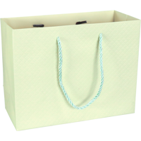 Tas | Papier | embossed | 23x 10x18cm | draagtas | pastelgroen | 40 stuks - thumbnail