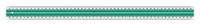 Linex antislip liniaal 50 cm groen/transparant - thumbnail