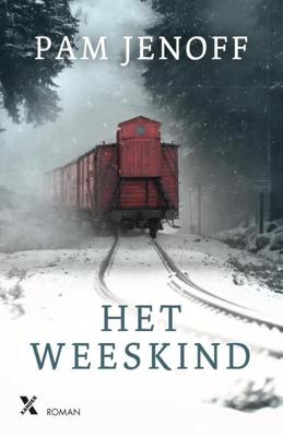 Het weeskind (Paperback) Het weeskind (Paperback)