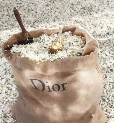 J'adore Eau de Parfum Roller-Pearl