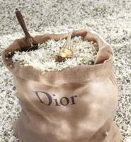 J'adore Eau de Parfum Roller-Pearl - thumbnail