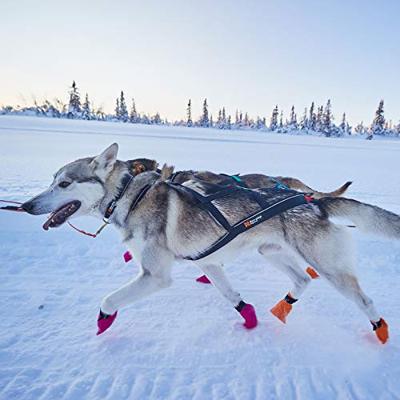 Non-stop dogwear® Trektuig Nansen Nome Harness 5.0, black, Maat: 9,5