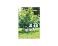 KERBL Net voor kippen 25 m - 106 cm - dubbelpuntig - groen - niet elektrisch - thumbnail