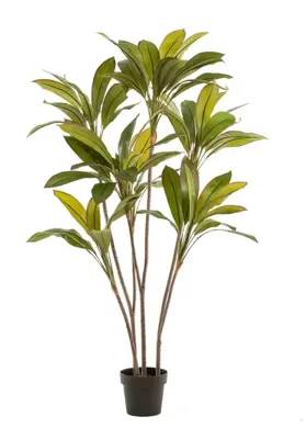 Kunstplant Cordyline 160cm Kunstplant Cordyline 160cm