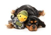 Fuzzyard duck commanduck pluche - thumbnail