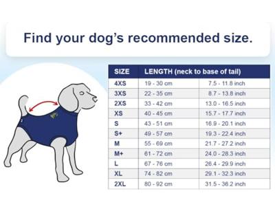 Medical Pet Shirt Hond Blauw XXL