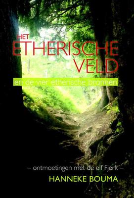 Het etherische veld (Paperback) Het etherische veld (Paperback)