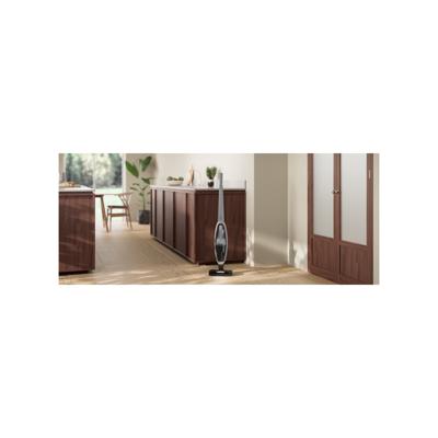 Electrolux ES52CB21DB Steelstofzuiger Batterij/Accu Droog Cyclonisch, Schuim, Post motor filter Zakloos 0,5 l 29 W Blauw