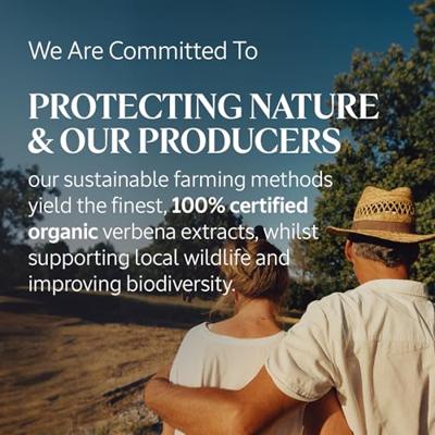 L'Occitane Verbena Hand Cream 30ml