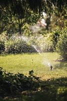 Fiskars Sectorsproeier | metaal | met wielen 1023656 - thumbnail